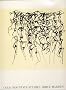 Brice Marden: Cold mountain studies