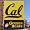 California Golden Bears