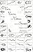 Facts, Fancies, and Folklore About Snakes