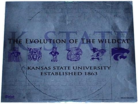 Kansas State Wildcats Prograph "Wildcats Evolution" Ready to Frame Print 16 X 20
