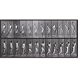 Batsman, photo Eadweard Muybridge (Print On Demand)
