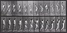 Batsman, photo Eadweard Muybridge (Print On Demand)