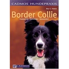 Border Collie. Charakter, Erziehung, Gesundheit