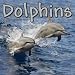 Dolphins 2009 Wall Calendar 12 X 12