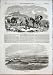 Ambulance Transport Service Signals Old Print 1855 War