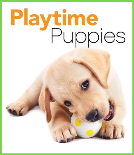 Playtime Puppies