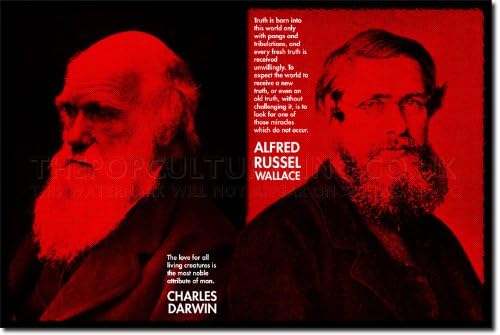 Charles Darwin and Alfred Russel Wallace Art Print Photo Poster 12x8 Inch Unique Gift Quotes Fathers of Evolutionary Biology Science