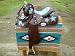 Western Saddle AKA "Big W"