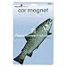 Brook Torut Fish Die-Cut Car Magnet