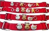 HRH Pets Holiday Collar and Charm Set
