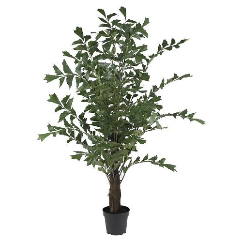 6′ Fishtail Palm Silk Tree