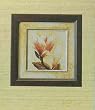 Framed Magnolia Print