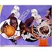 Shaquille O'Neal Los Angeles Lakers -Dunk Over Tim Duncan- Autographed Photograph