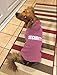 BINGPET Security Dog Hoodies Puppy Sweatershirts Cold Weather Dog Coats Pet Hooded Clothes for Dog Cat