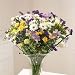 Flowers by Post, Luxury Fresh Flowers Seasonal Bou
