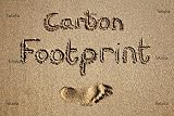 'Carbon Footprint Written In Sand On A Beach.' Wall Decal - 72