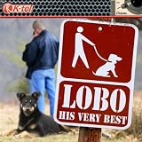 I'D LOVE YOU TO WANT ME  -  Lobo