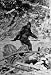 Wallmonkeys Peel and Stick Wall Decals - Alleged Photo of Bigfoot - 24