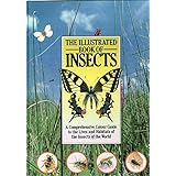 illustrated book of insects