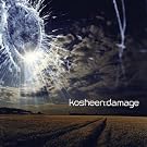 Damage