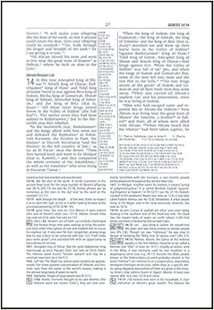 Study Bible-NIV-Loose-Leaf Pages Only: Amazon.co.uk: Hendrickson Bibles ...