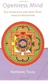 Openness Mind: Self-knowledge and Inner Peace through Meditation (Nyingma Psychology Series)