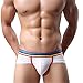 Astarin Mens Rainbow Low Rise Modal Cotton Underwear Trunks Briefs Pack