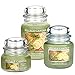Village Candle Citrus & Sage 26 oz Glass Jar Scented Candle, Large
