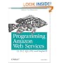 Programming Amazon Web Services: S3, EC2, SQS, FPS, and SimpleDB