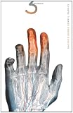 Napiers Bones