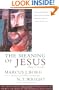 Meaning of Jesus: Two Visions