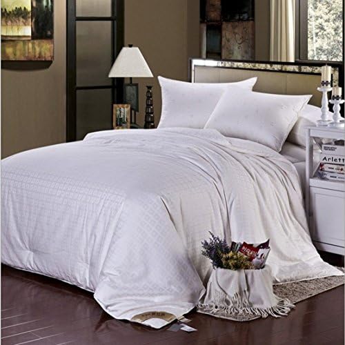 Soft Silker Silk Comforter 100% All Natural National Standard Long Mulberry Silk Duvet All Season Queen