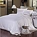 Soft Silker Silk Comforter 100% All Natural National Standard Long Mulberry Silk Duvet Queen (Most Wished &Gift Ideas)