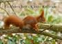 Eichh�rnchen - Kleine Kobolde (Wandkalender 2014 DIN A3 quer)