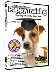 Interactive Puppy Training DVD - Start your Dog off on the Right Paw