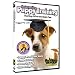 Interactive Puppy Training DVD - Start your Dog off on the Right Paw