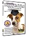 Interactive Puppy Training DVD - Start your Dog off on the Right Paw