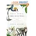 The Great Animal Orchestra: Finding the Origins of Music in the World's Wild Places