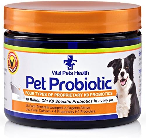 Natural Probiotic For Dogs - Best For Digestion, Vitality, Diarrhea Relief, whilst Having the Minerals and Enzymes Your Dog Needs - 10 Billion CFU - Extra Large 170 grams/6 oz Jar