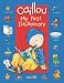 My First Dictionary: In My House (Caillou)