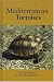 Mediterranean Tortoises