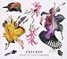 Zwicker-Songs of Lucid Dreamers