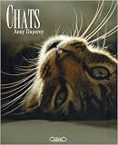 Chats