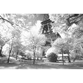 Afternoon in Paris Poster - 24x36"