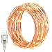LED Fairy Lights, Oak Leaf 2 Set of USB 60 LED Starry String Lights Copper Wire for Home Bedroom Christmas Party Wedding Decoration,19.7ft,Warm White