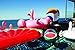 SunnyLife Women's Inflatable Watermelon Ball, Red/Green, One Size