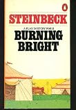 Burning Bright