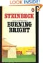 Burning Bright: A Play in Story Form