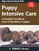 Puppy Intensive Care - A Breeder