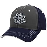 Zephyr Michigan Wolverines Two-tone Slingshot Fitted Hat